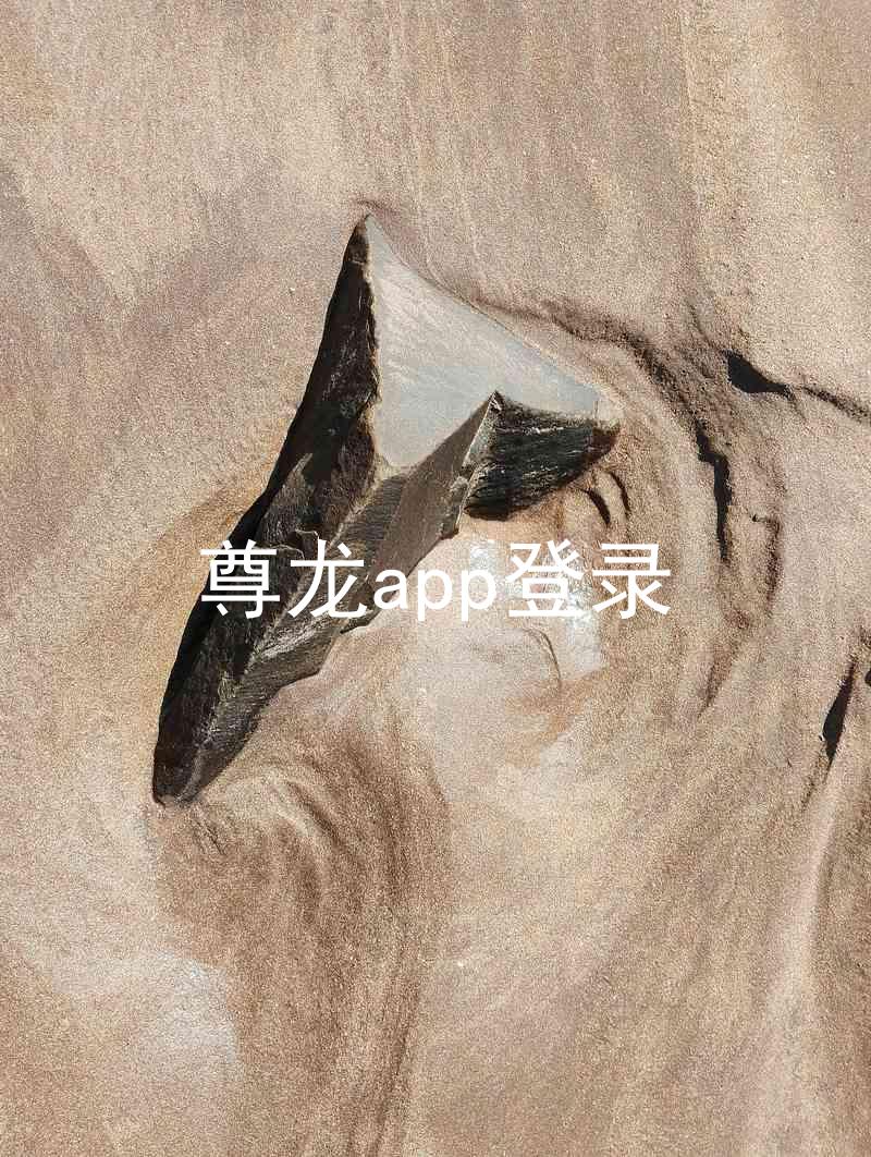 尊龙app登录